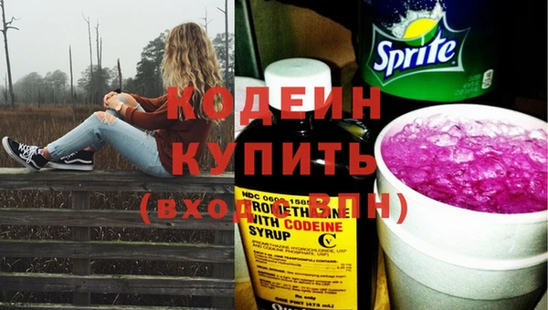 прущий лед Алзамай