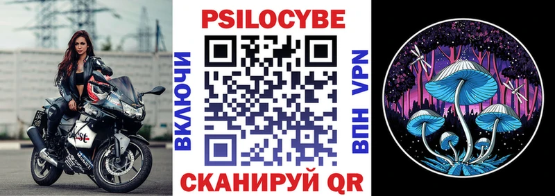 Псилоцибиновые грибы GOLDEN TEACHER  ОМГ ОМГ сайт  Александровское  купить наркоту 