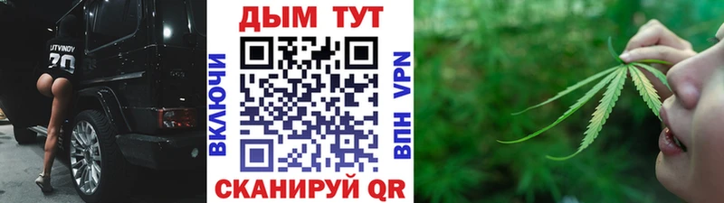 Конопля планчик  Александровское 